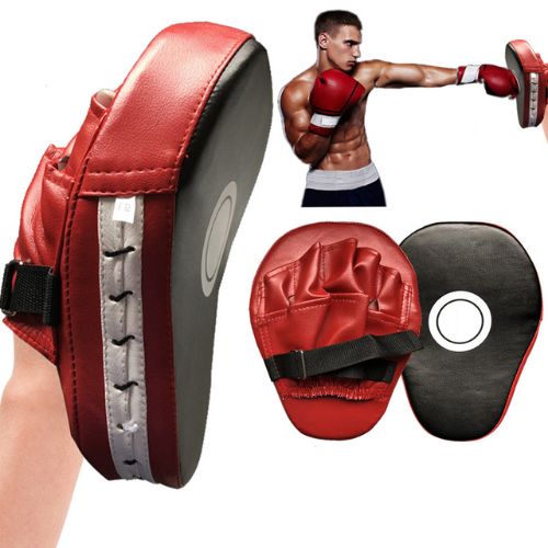 Boxing Focus Mitts