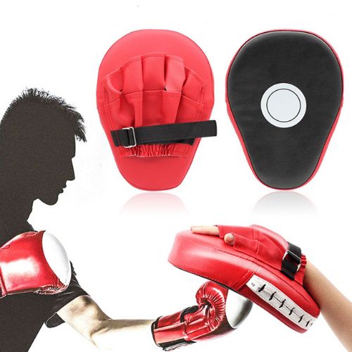 Boxing Focus Mitts