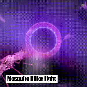 Photocatalytic Mosquito Trap
