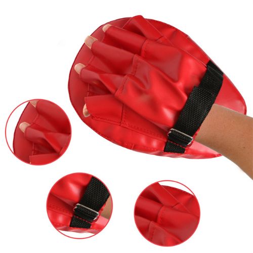 Boxing Focus Mitts